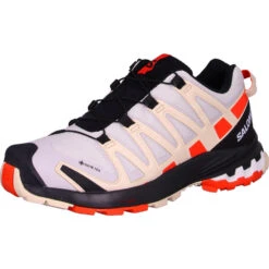 Salomon Schuhe XA PRO 3D V8 GTX W LunRoc/Ch